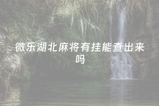 微乐湖北麻将有挂能查出来吗（微乐湖北麻将卡五星）