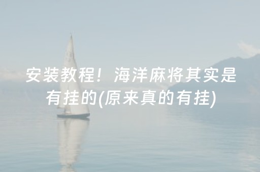 安装教程！海洋麻将其实是有挂的(原来真的有挂)