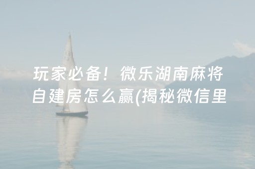 玩家必备！微乐湖南麻将自建房怎么赢(揭秘微信里插件下载)