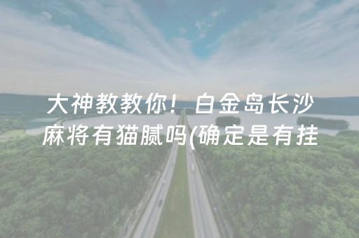 大神教教你！白金岛长沙麻将有猫腻吗(确定是有挂)