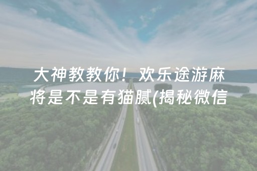 大神教教你！欢乐途游麻将是不是有猫腻(揭秘微信里胜率到哪调)