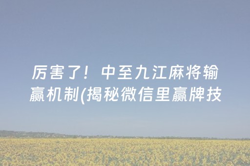 玩家必备教程“功夫川麻将有人开挂吗”!专业师傅带你一起了解（详细教程）-知乎