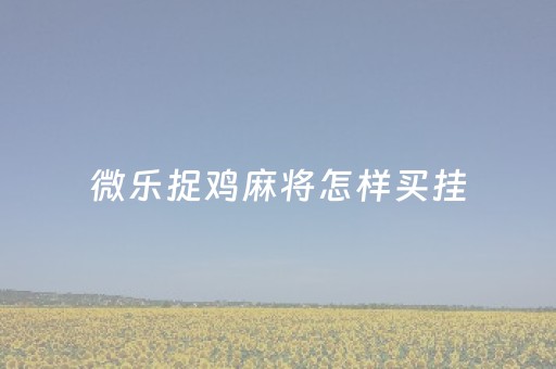 微乐捉鸡麻将怎样买挂（微乐捉鸡麻将怎么玩图解）