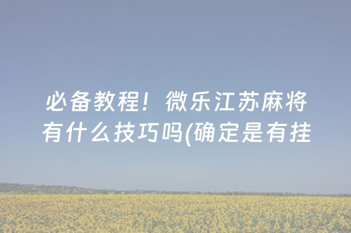 必备教程！微乐江苏麻将有什么技巧吗(确定是有挂)