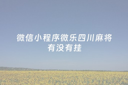 微信小程序微乐四川麻将有没有挂（手机微乐四川麻将有没有挂）