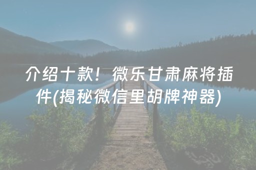 介绍十款！微乐甘肃麻将插件(揭秘微信里胡牌神器)