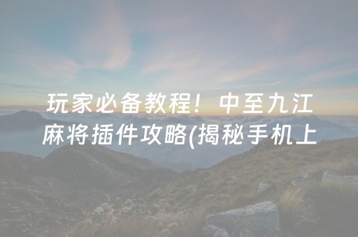 玩家必备教程！中至九江麻将插件攻略(揭秘手机上胜率到哪调)