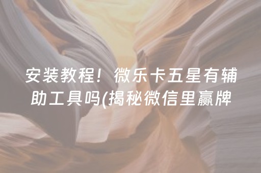 安装教程！微乐卡五星有辅助工具吗(揭秘微信里赢牌的技巧)