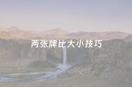 两张牌比大小技巧（2张牌比大点数）