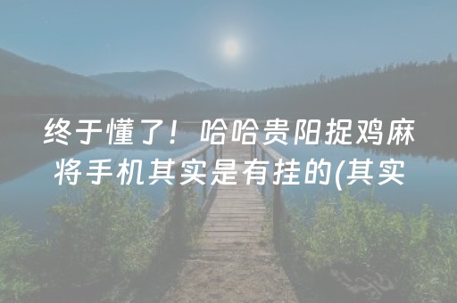 玩家必备！手机贵阳麻将软件出售(怎么提升胜率)