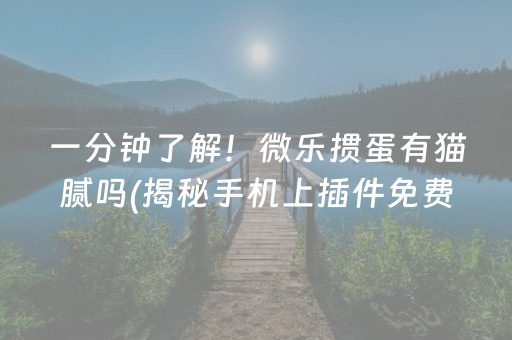 盘点十款“手机跑得快透视万能挂”!(其实确实有挂)-知乎