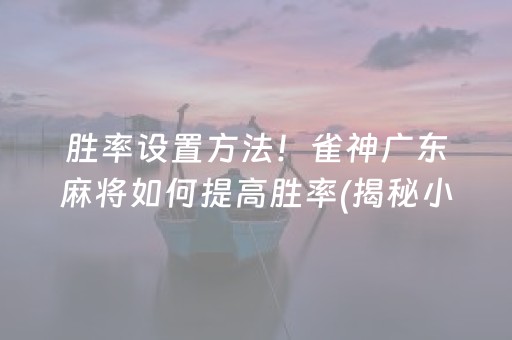 玩家必备攻略！微乐广西麻将技巧及攻略(揭秘小程序提高胜率)