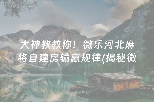 安装教程！多乐麻将助赢软件(揭秘小程序提高胜率)