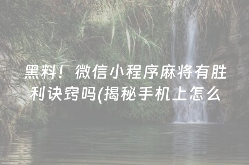 安装程序教程！微乐海南麻将如何让系统发好牌(揭秘小程序插件下载)