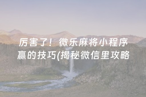 厉害了！微乐麻将小程序赢的技巧(揭秘微信里攻略插件)