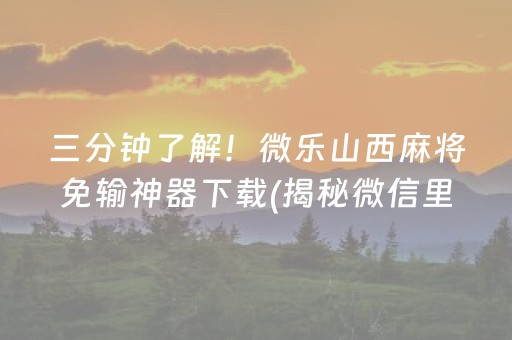 介绍十款！微乐陕西麻将助赢神器(揭秘手机上助手软件)