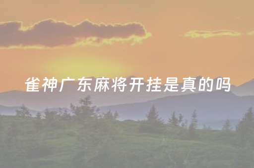 雀神广东麻将开挂是真的吗（雀神广东麻将开挂教程）