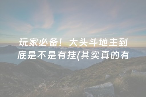 玩家必备！大头斗地主到底是不是有挂(其实真的有挂)