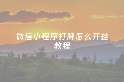 介绍十款！微乐山东麻将助攻神器(是不是有挂)