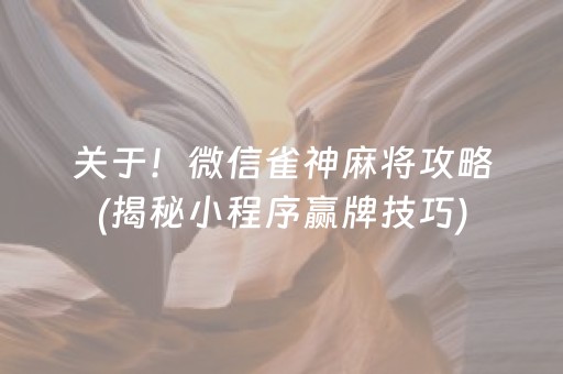 介绍十款！乐玩灵丘麻将有挂技巧辅助器(确实真的有挂)