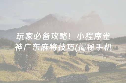 必备教程！微乐福建麻将怎么提高赢的概率(究竟有没有挂)