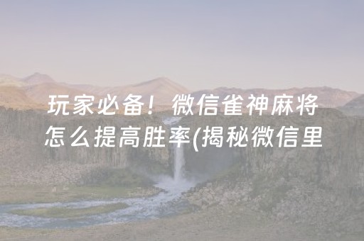 给玩家盘点十款！白金岛十胡卡有挂技巧辅助器(其实是有挂确实有挂)