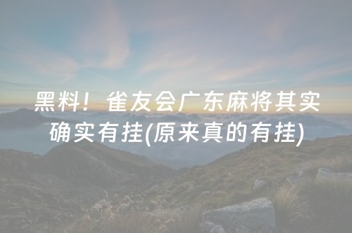 玩家必看科普！微乐安徽麻将赢牌的技巧(揭秘手机上助攻神器)