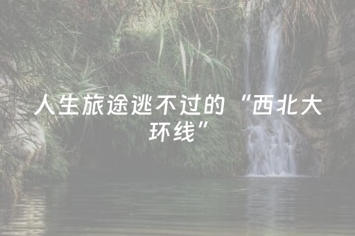 玩家必备攻略！雀神麻将小程序怎么才赢的几率大(揭秘微信里赢的秘诀)