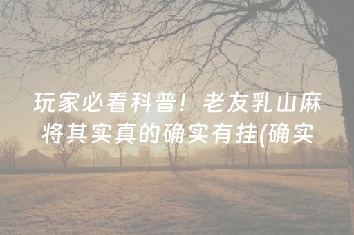 终于懂了！微乐宁夏麻将取胜技巧(揭秘手机上攻略插件)