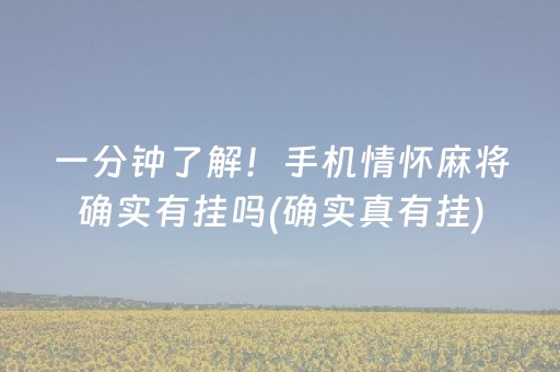 介绍十款！微乐麻将必备神器(揭秘小程序助赢软件)