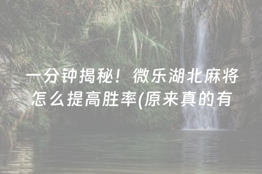 大神教教你！微信上麻将为什么一直输(揭秘小程序赢牌的技巧)