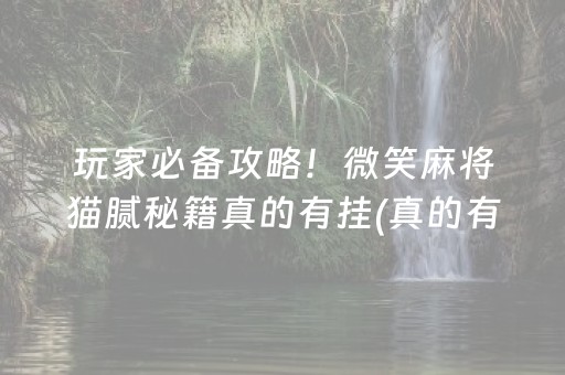 必看盘点揭秘！小程序麻将到底是不是有挂(确实有挂)