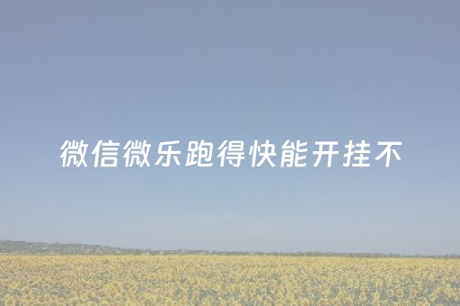 微信微乐跑得快能开挂不（微信微乐跑得快开挂安装）