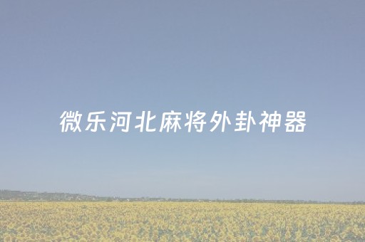 微乐河北麻将外卦神器（微乐河北麻将挂）