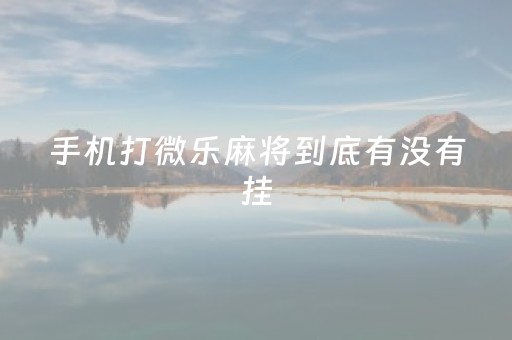 手机打微乐麻将到底有没有挂（手机上打微乐麻将怎么才能赢）