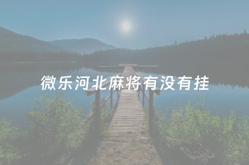 微乐河北麻将有没有挂（微乐河北麻将如何开挂）