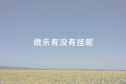 微乐有没有挂呢（微乐挂多少钱）