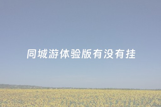 同城游体验版有没有挂（同城游戏体验版不可以玩了）