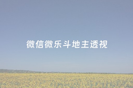 微信微乐斗地主透视（微信微乐斗地主透视有没有）