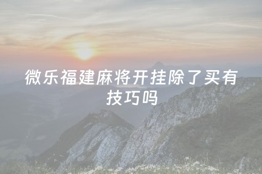 微乐福建麻将开挂除了买有技巧吗（微乐福建麻将怎么开挂）