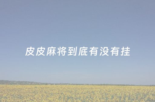 皮皮麻将到底有没有挂（皮皮麻将有挂吗）