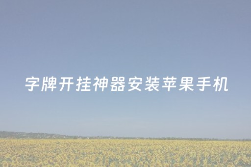 字牌开挂神器安装苹果手机（字牌辅助器免费）