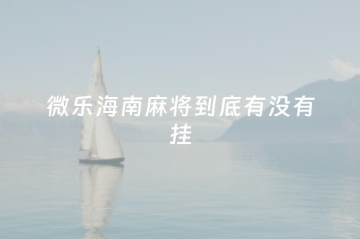 微乐海南麻将到底有没有挂（微乐海南麻将有挂吗）