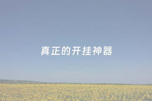 真正的开挂神器（真正的开挂神器是什么）