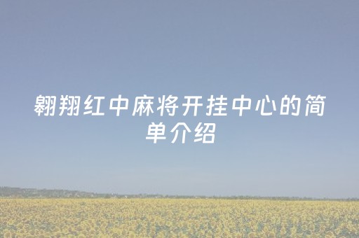 翱翔红中麻将开挂中心的简单介绍