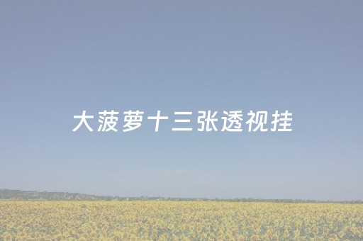 大菠萝十三张透视挂（大菠萝十三水有技巧吗）