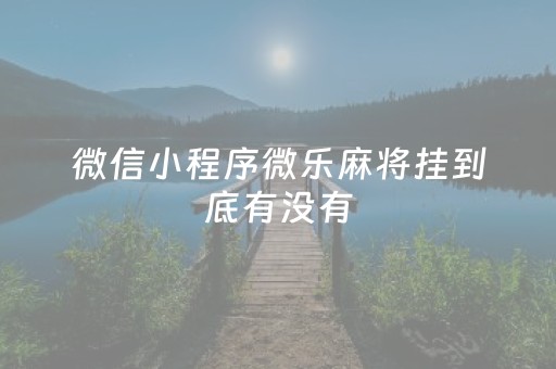 微信小程序微乐麻将挂到底有没有（小程序微乐麻将有挂么）