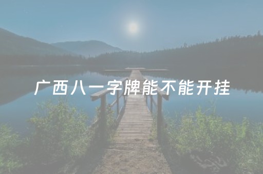 广西八一字牌能不能开挂（广西八一字牌高手讲解）