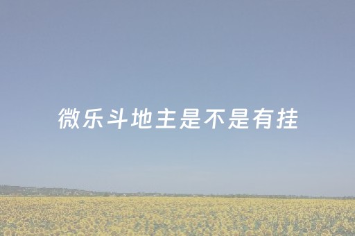 微乐斗地主是不是有挂（微乐游戏斗地主有没有挂）