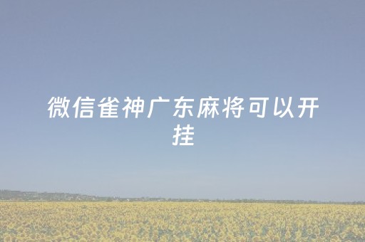 微信雀神广东麻将可以开挂（微信雀神广东麻将开挂需要提供手机序列号吗）